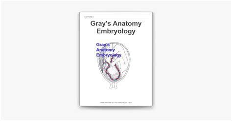 download Gray's Anatomy Embryology